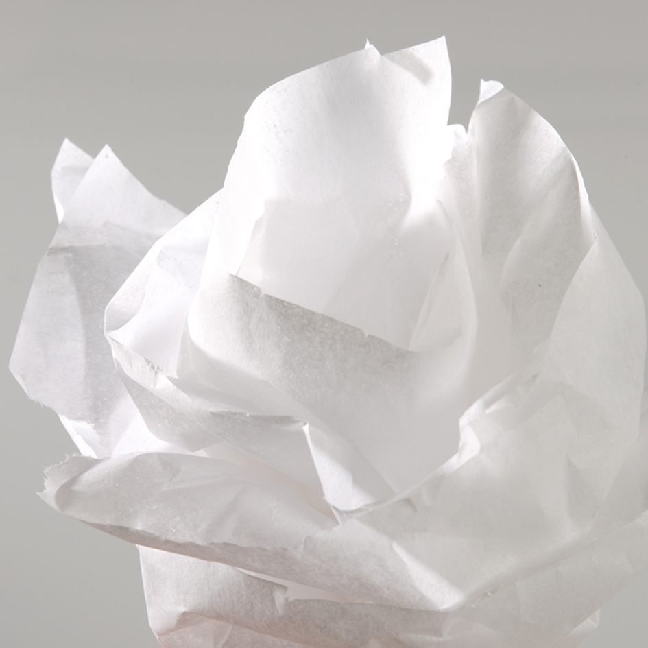 CANSON Papier de soie, 0,5 x 5,0 m, 20 g/m2, blanc