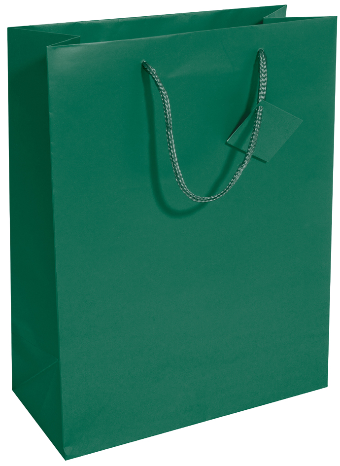 Visuel de référence : Sac cadeau, vert opaline