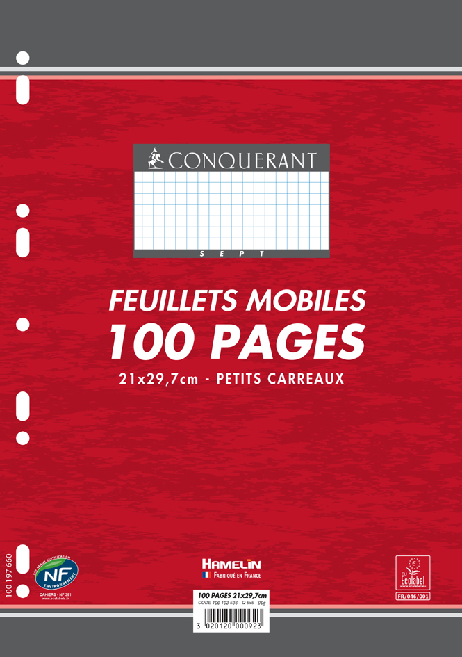 Feuillets mobiles, 210 x 297 mm