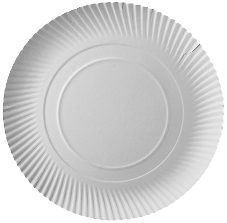 PAPSTAR Assiette en carton 'pure', rond, diamètre: 320 mm