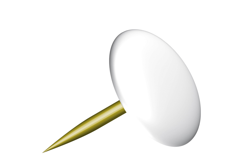 Punaise, blanc