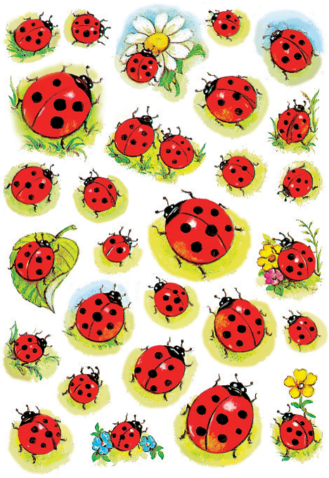 Stickers en papier