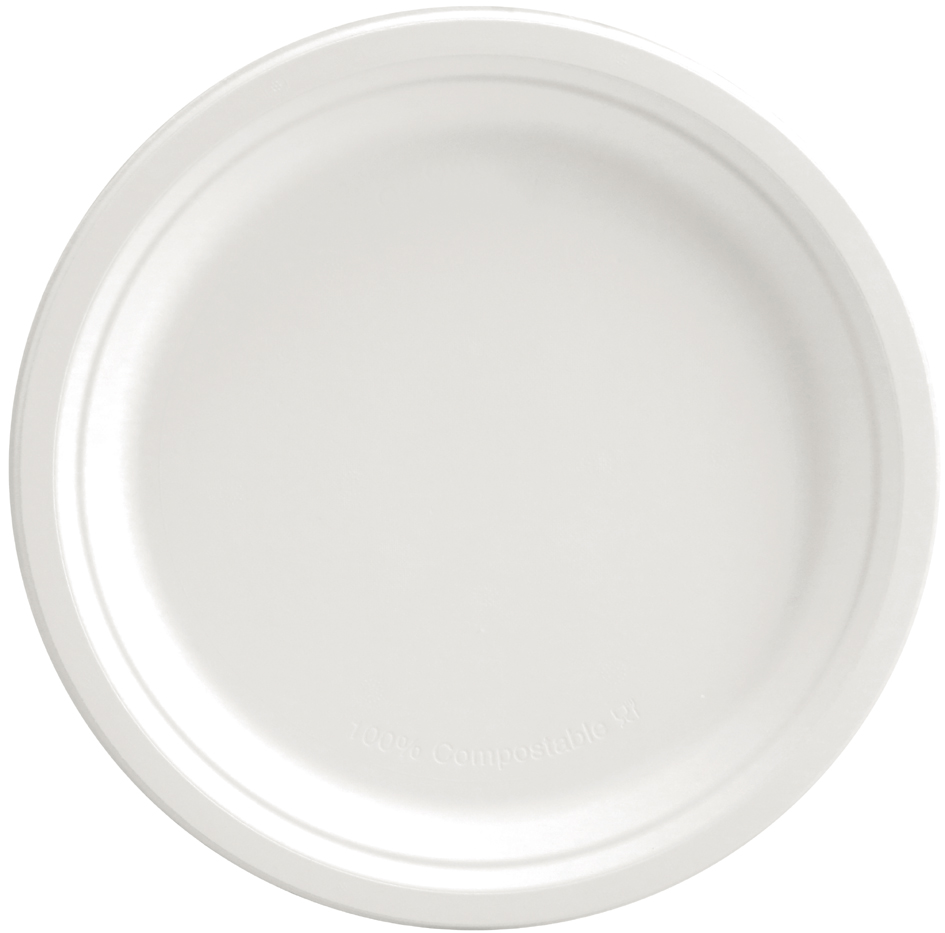 Visuel de référence: Assiette en canne à sucre