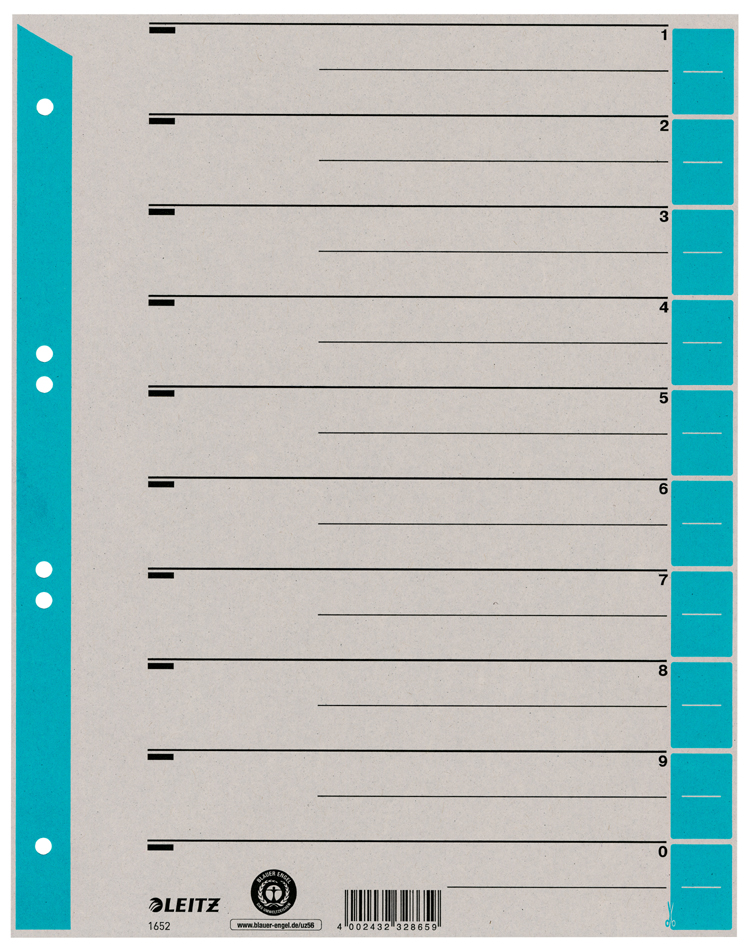 LEITZ Intercalaires, format A4 extra large, en carton solide