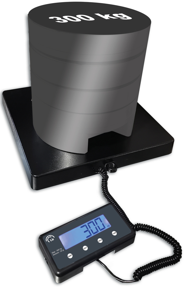 Visuel de référence : balance Pro e-300