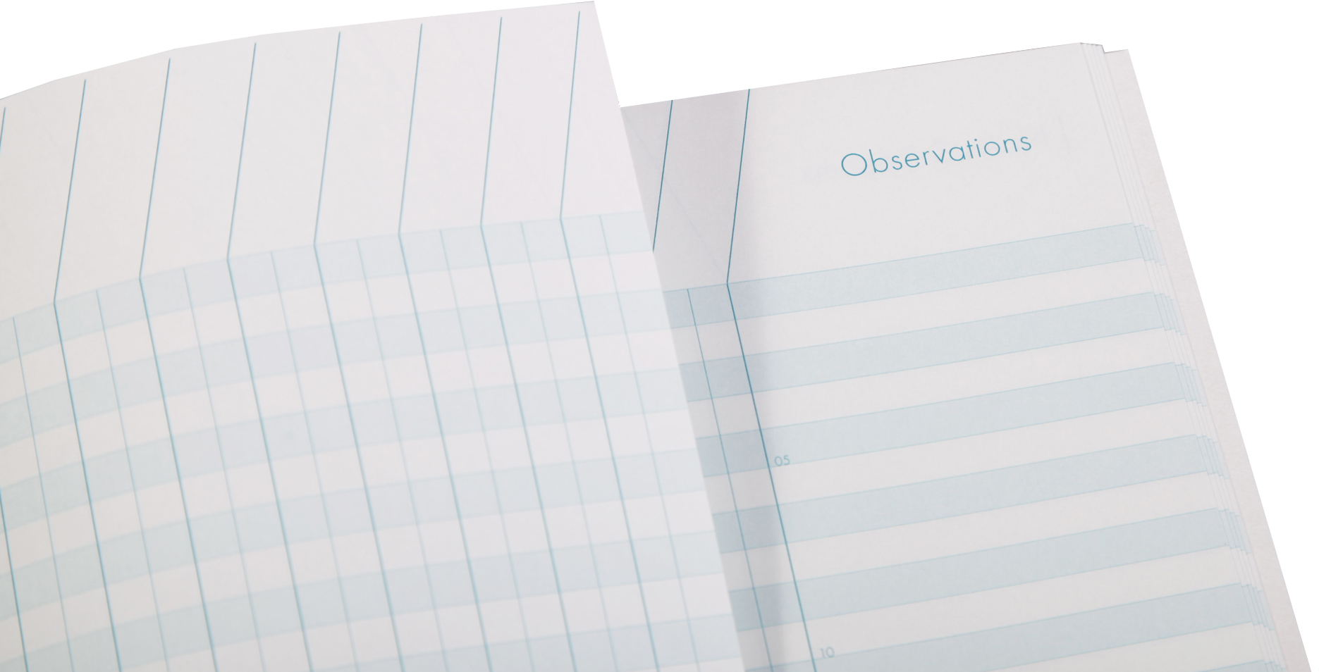 Cahier de bord pour enseignant, détail tête paresseuse