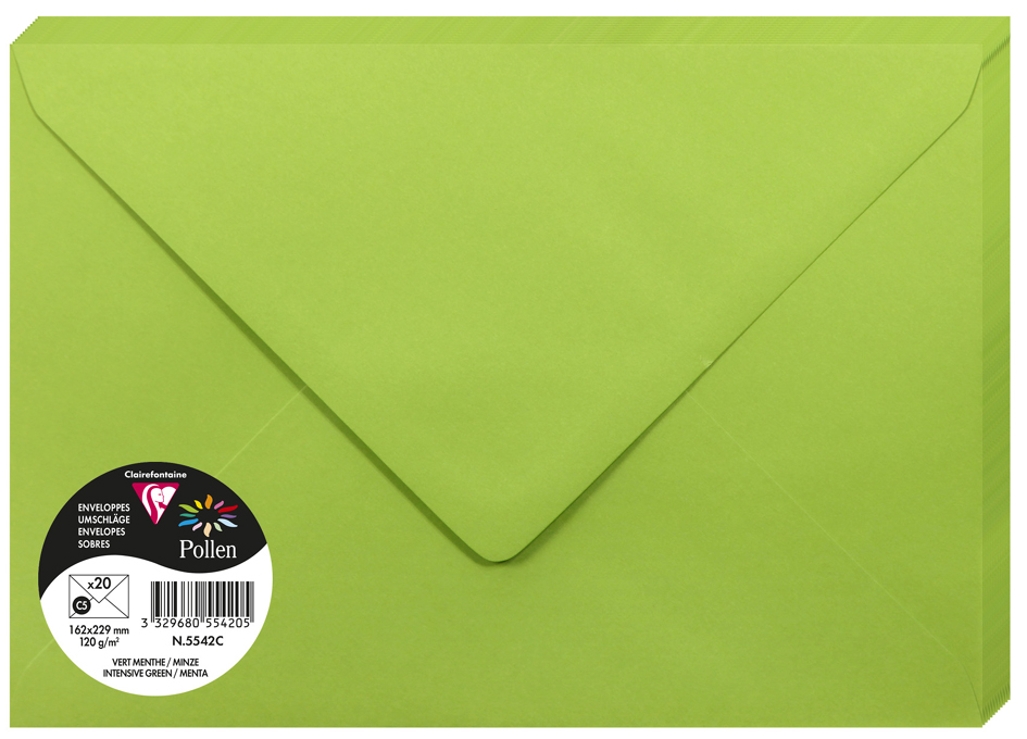 Pollen by Clairefontaine Enveloppes C5, vert menthe