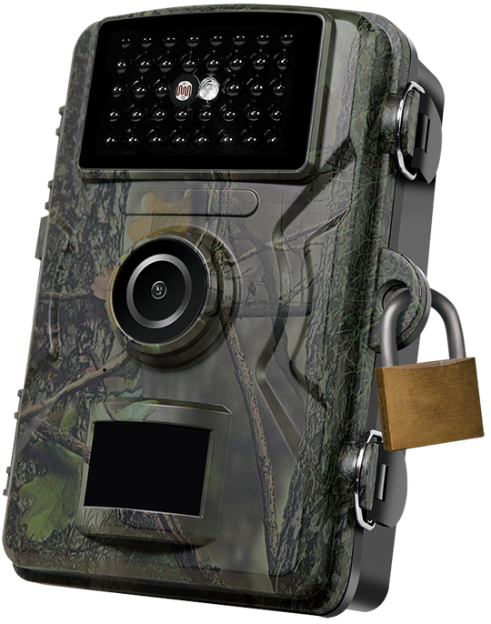 Surveillance vidéo