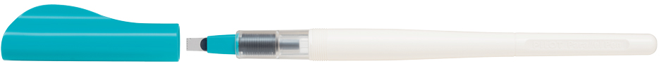 Stylos plume calligraphie