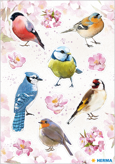 HERMA Sticker DECOR 'Oiseaux de chez nous'