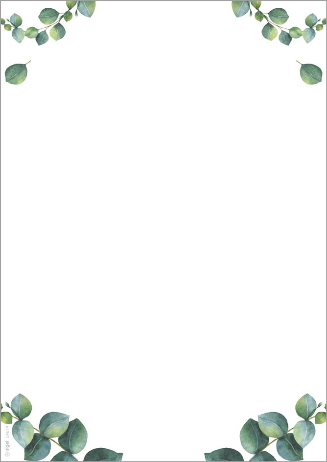 sigel Papier design 'Eucalyptus', A4, 90 mm g/m2, 2 colonnes