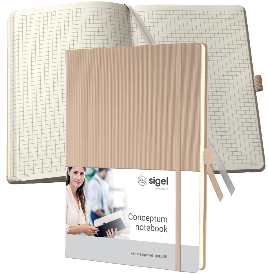 Visuel de référence: Carnet Conceptum, beige