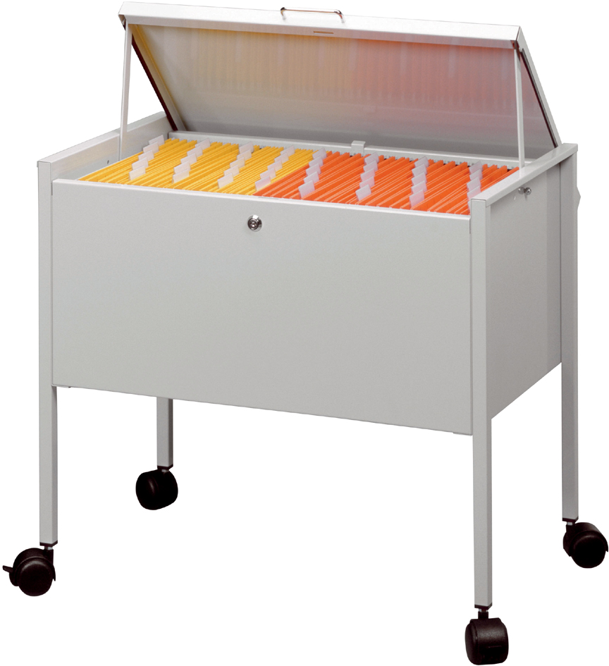 Visuel de référence: chariot pour dossiers suspendus "Economy 80 TOP", gris