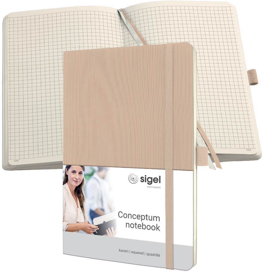 Visuel de référence: Carnet Conceptum, beige