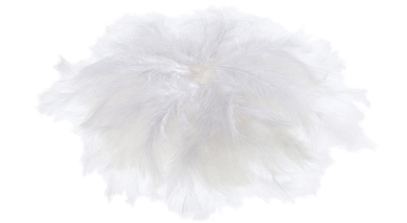 Plumes soyeuses, blanc