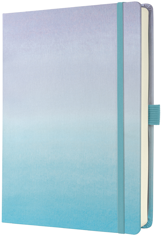 Carnets de notes, BuJo