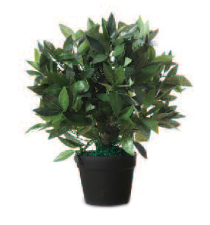 Plantes artificielles