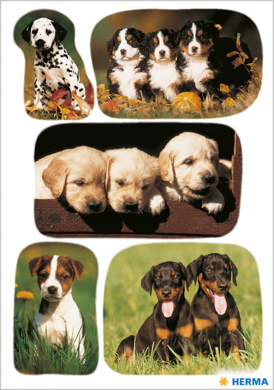 Stickers en papier enfants