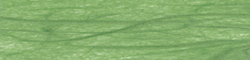 folia Soie de paille, (L)470 x (H)640 mm, vert clair