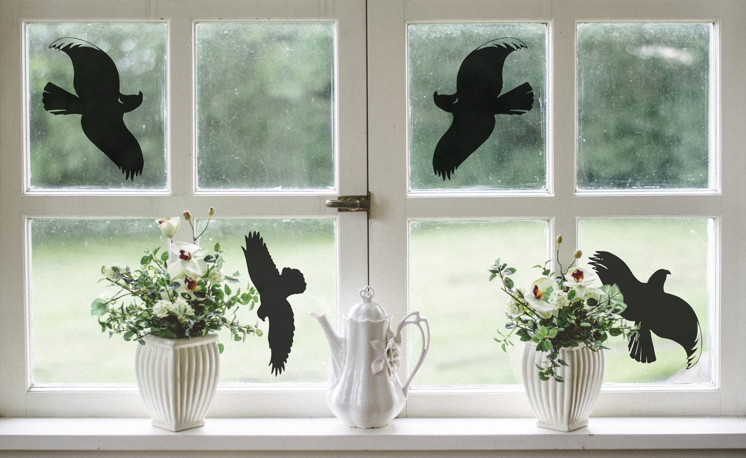 Silhouettes de rapaces