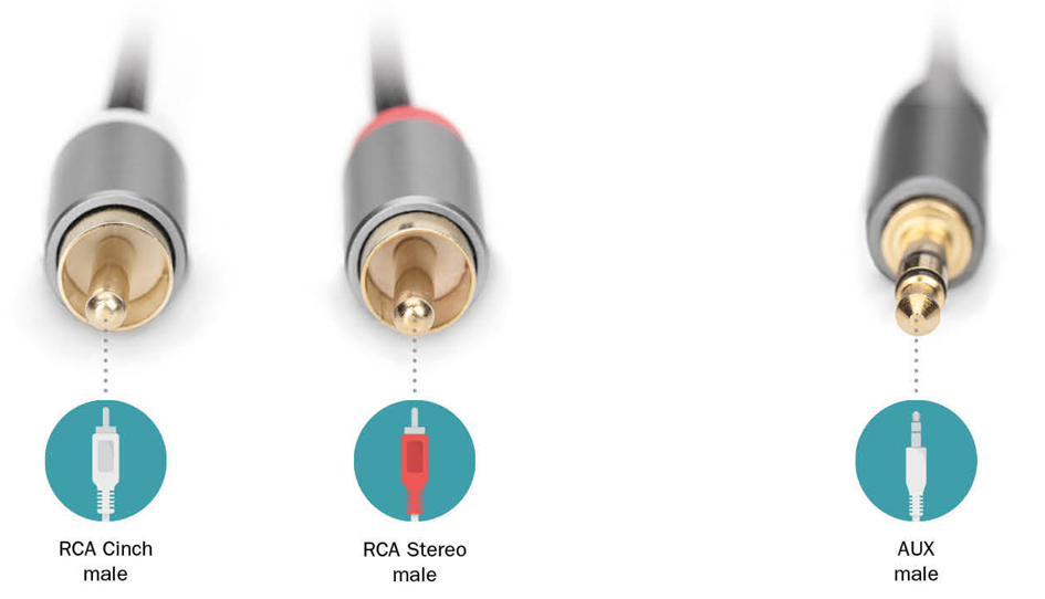 Visuel de référence : connexions