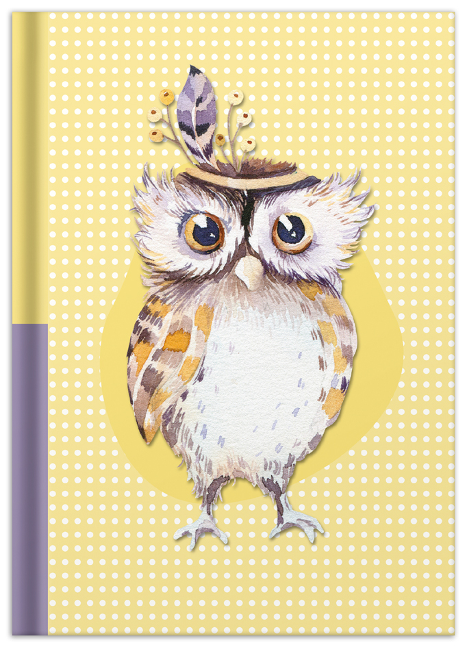 RNK Verlag Carnet de notes 'Chouette', A5, 96 feuilles