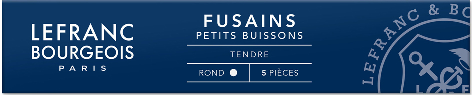 Fusains "Petits buissons"