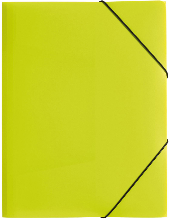 PAGNA Chemise à élastique 'Trend Colours', A3, vert tilleul