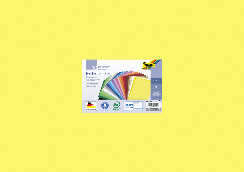 folia Carton de bricolage, (L)500 x (H)700 mm, assorti