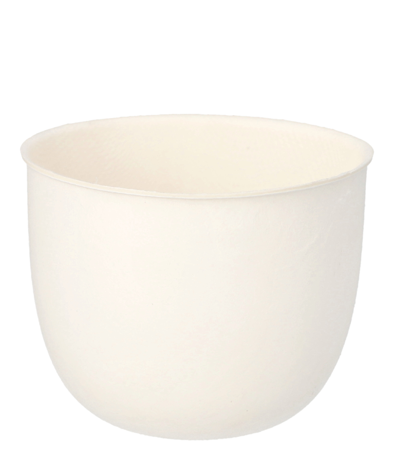 PAPSTAR Bol en canne à sucre 'pure', rond, 120 ml, set de 10