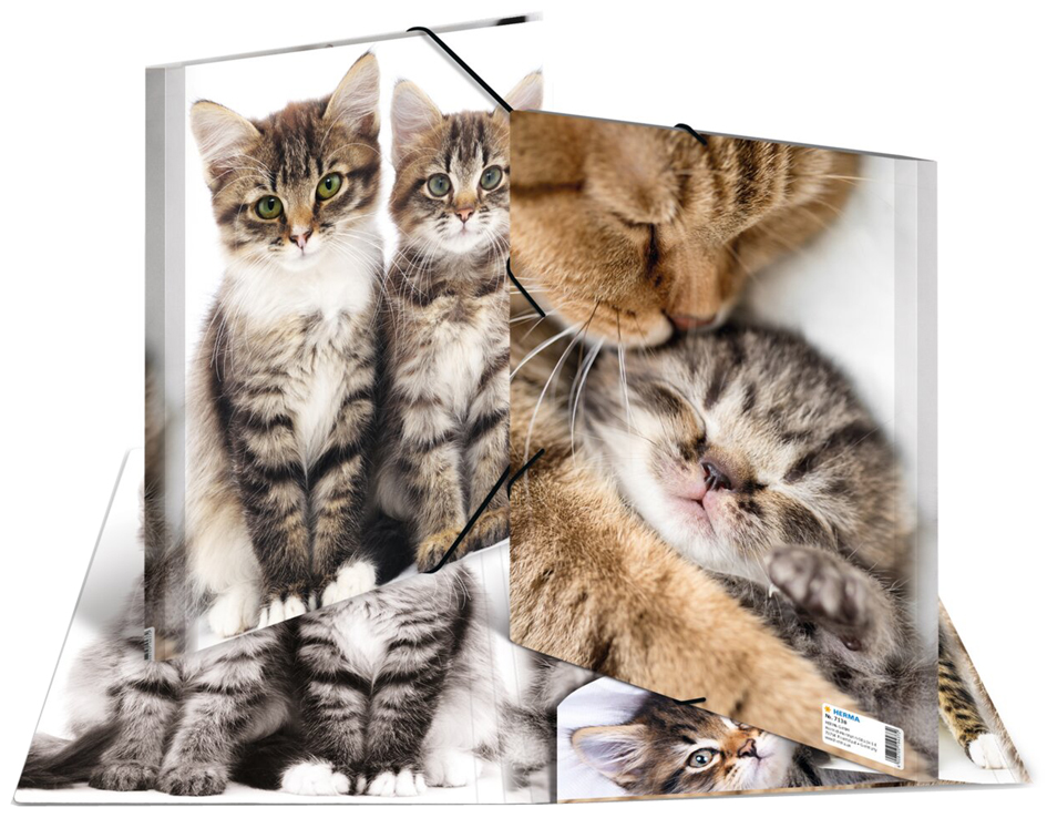 Chemise à élastiques "Chats"