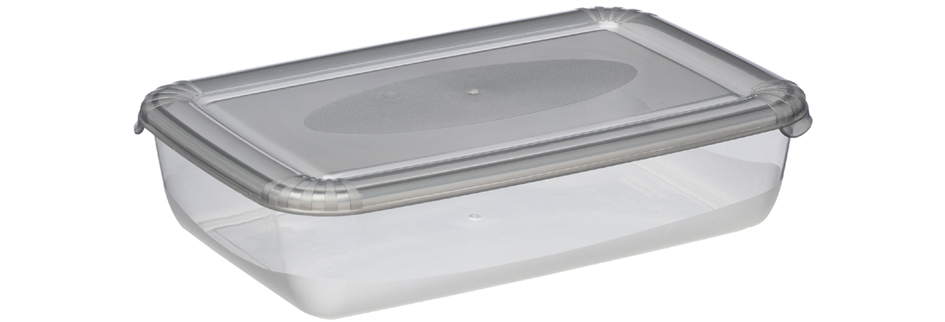 plast team Boîte de congélation Polar, 1,9 litre, gris