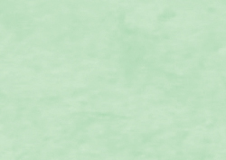 Clairefontaine Papier cadeau 'kraft', vert bourgeon