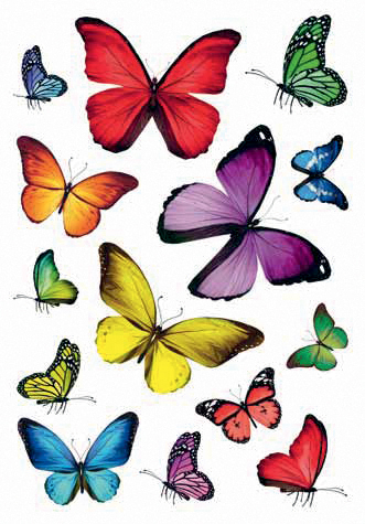(1) Multitude de papillons
