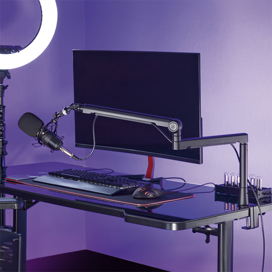 Supports pour microphones