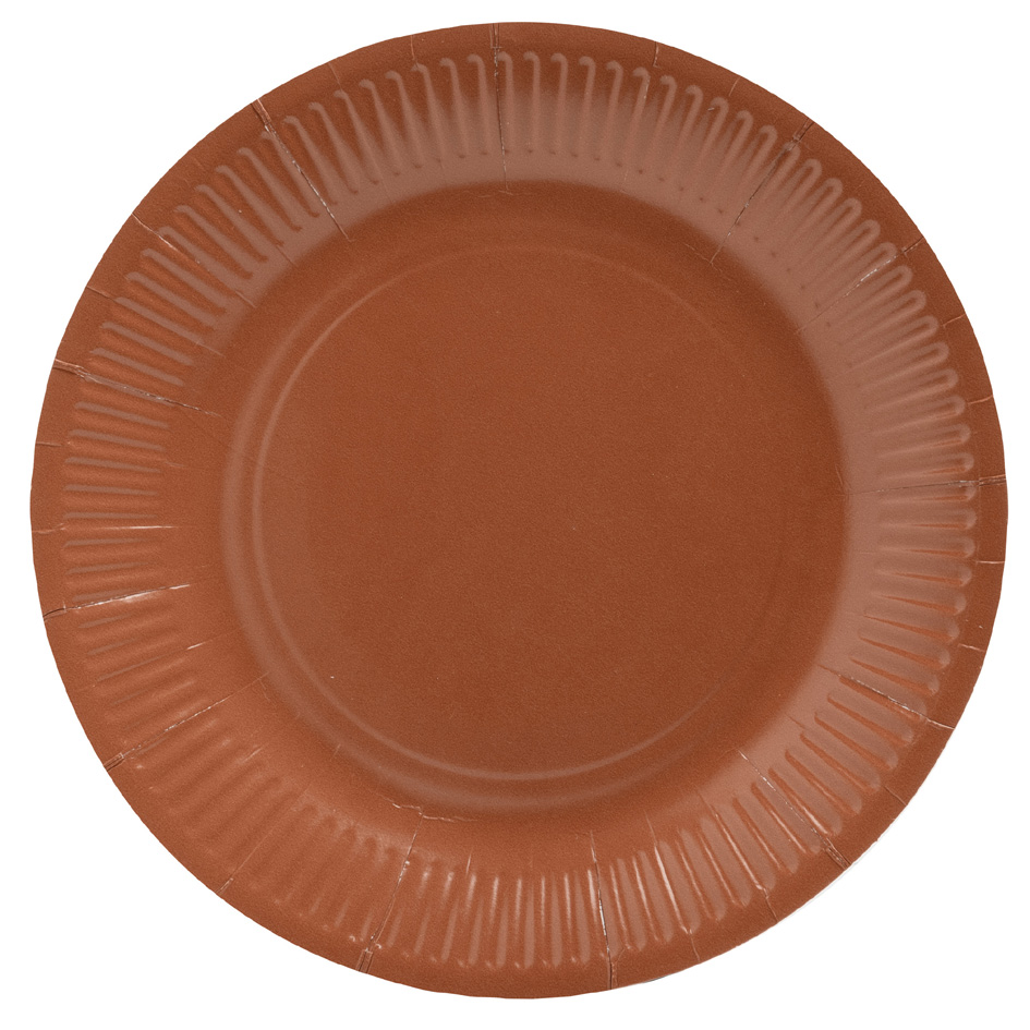Assiettes jetables, carton