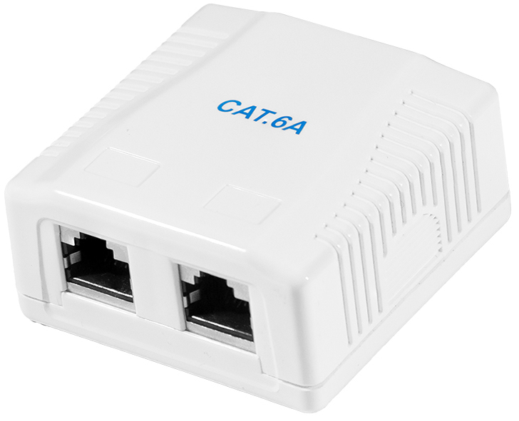 Prise cat. 6A avec boîtier en saillie, 2x RJ45