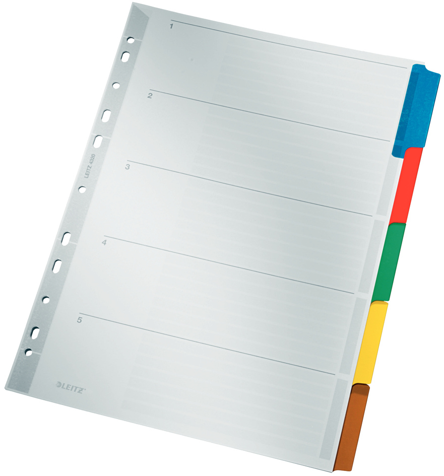 LEITZ Intercalaires en carton mylar, blanc, A4, gris, 5