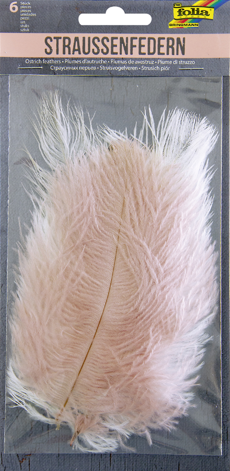 Plumes d'autruche