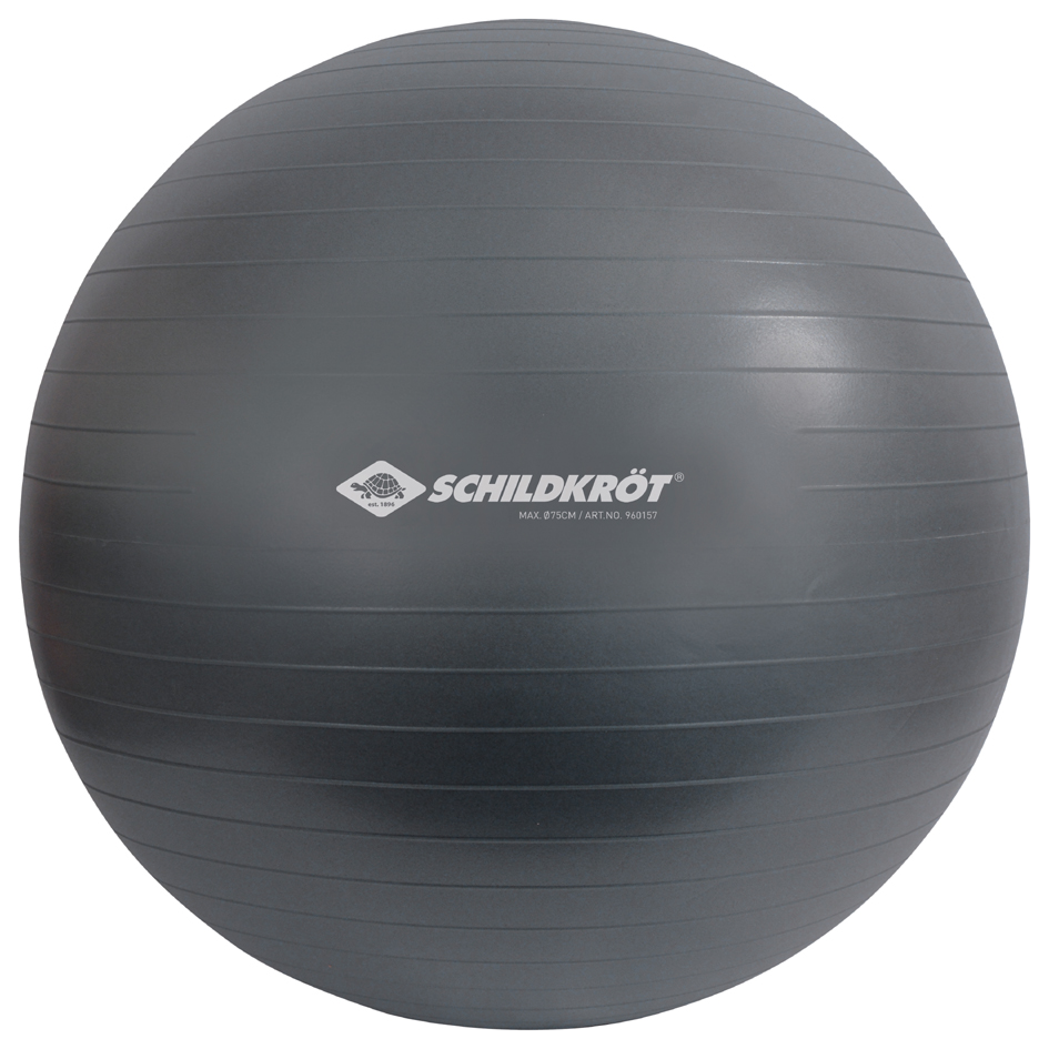 Visuel de référence : Ballon de gymnastique, anthracite