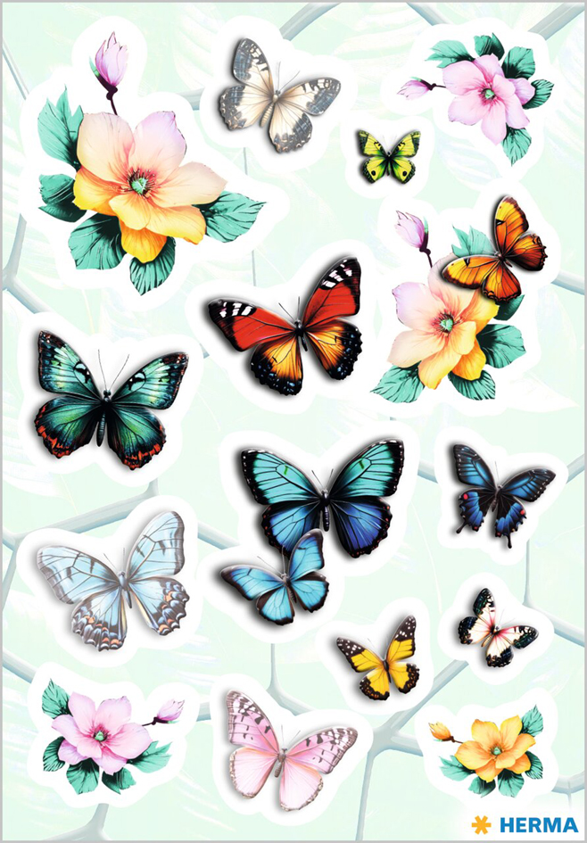 Papillons et fleurs