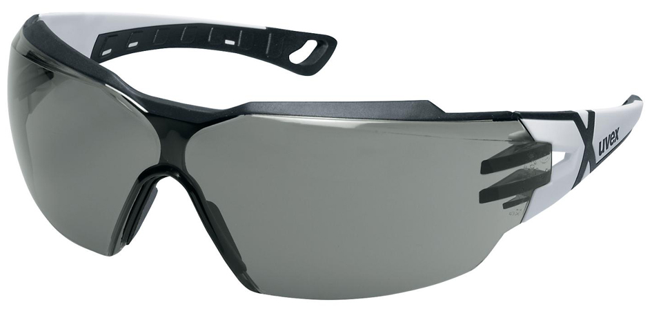 uvex Lunettes de protection pheos cx2, verres: gris