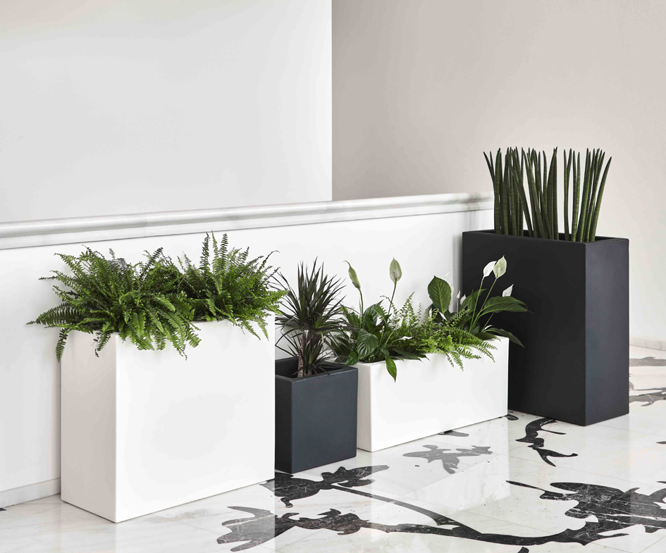 Jardinières