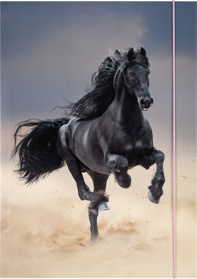 folia Pochette de rangement à dessins BASIC 'Black Horse',A3