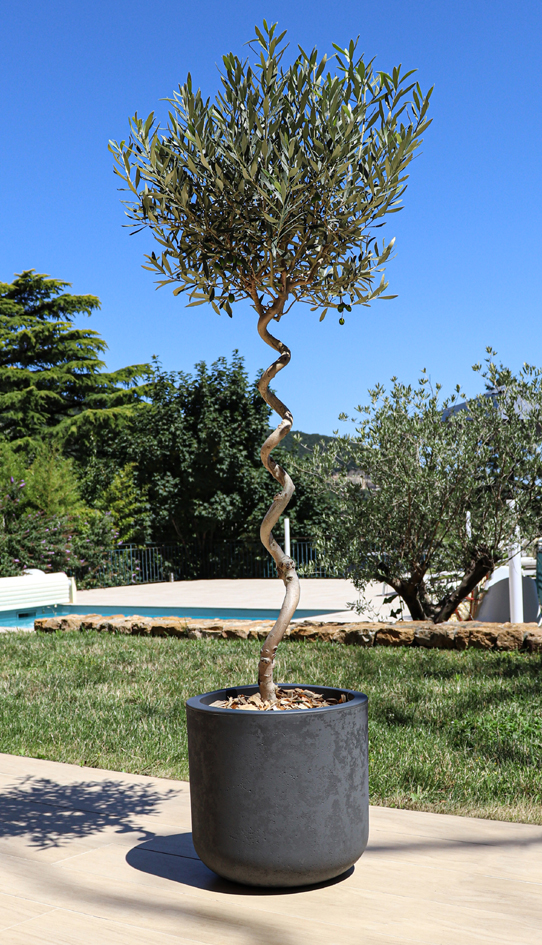 Pots de fleurs, rond