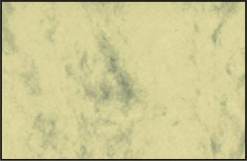 Cartes de visite