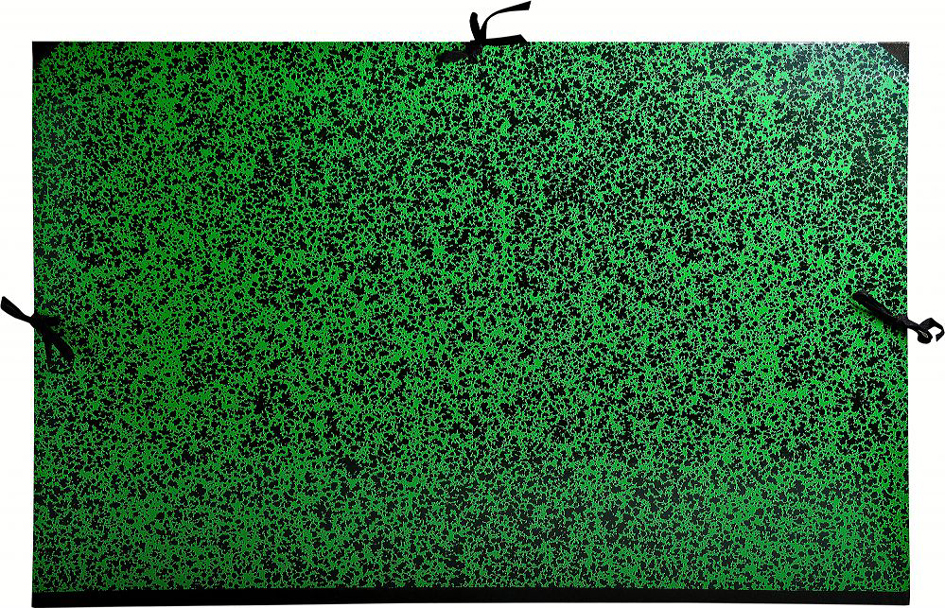 EXACOMPTA Carton à dessin Annonay, 320 x 450 mm, vert