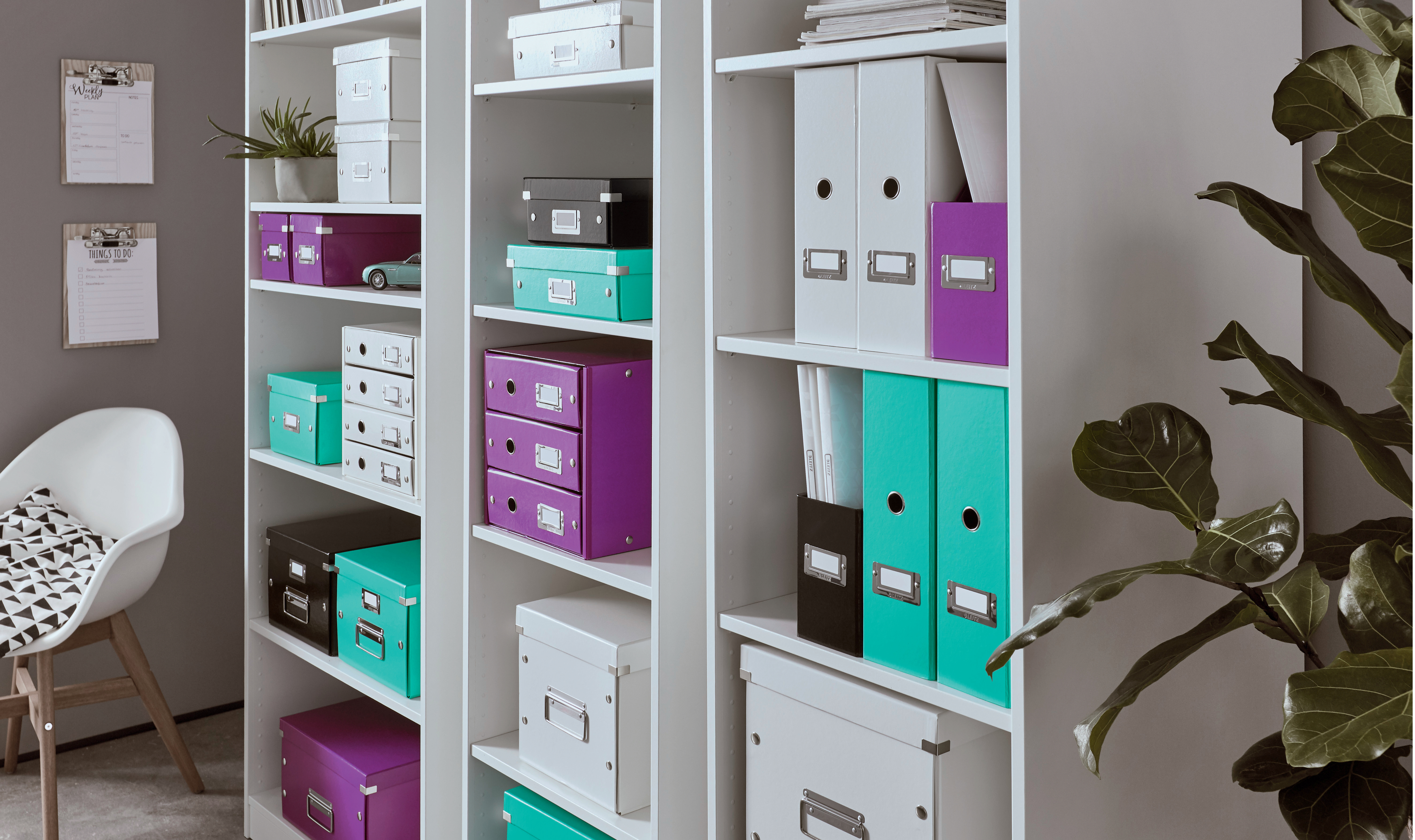 Modules de classement, carton