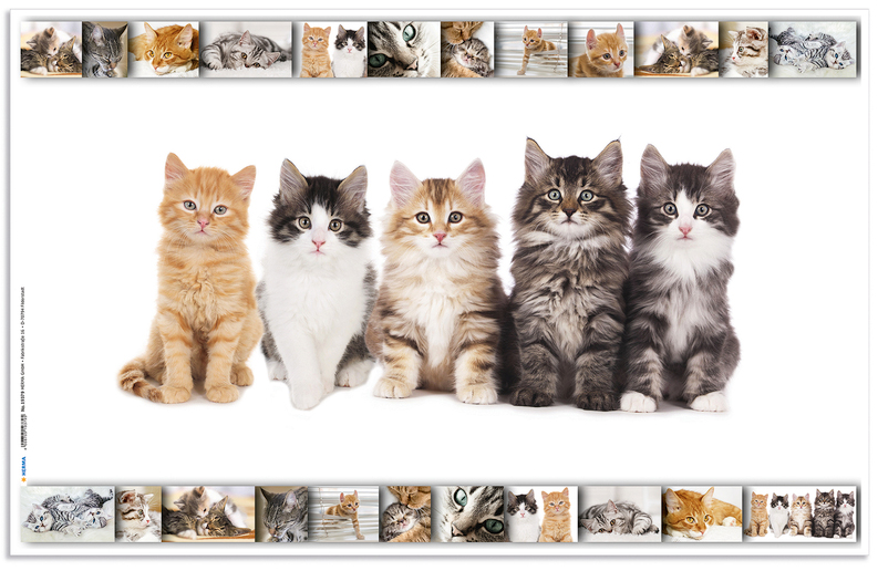 HERMA Sous-main 'Chats', (L)550 x (H)350 mm