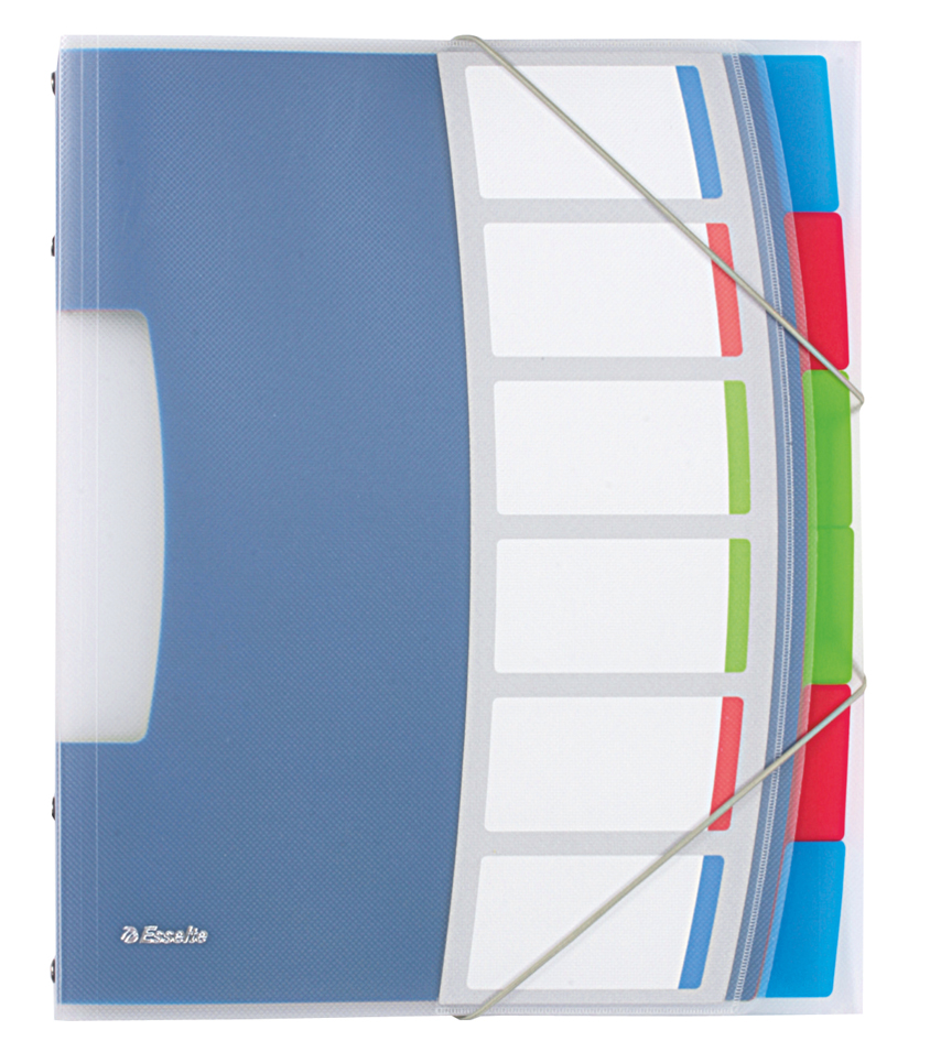 Esselte Trieur VIVIDA, A4, PP, 6 touches, multicolore